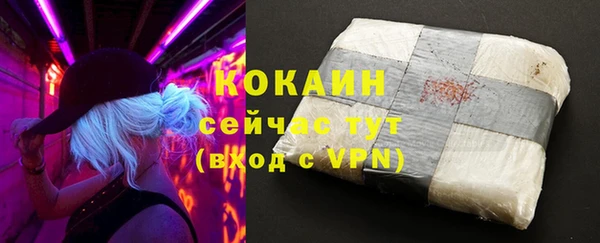 шишки Домодедово