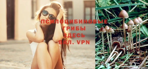 мяу мяу мука Одинцово